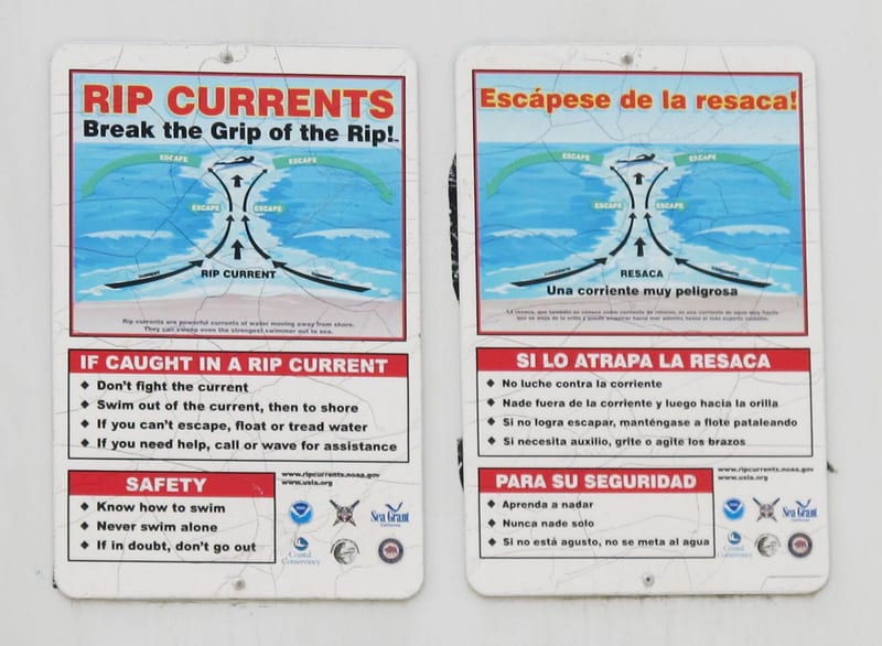 Sydney — The Beach, and How Not to Drown