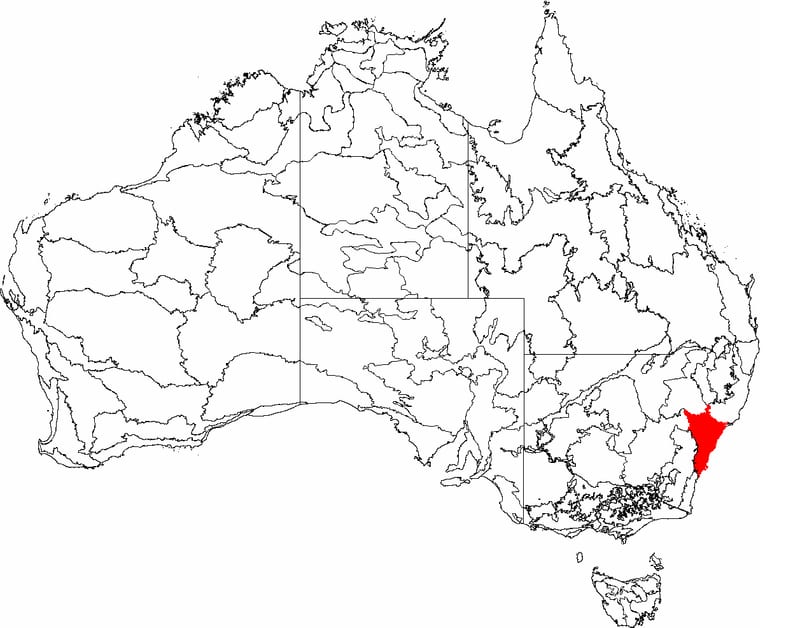 Sydney — The Gadigal, and What Happened Here