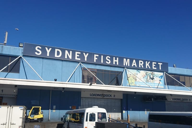 Sydney Fish Market, Sydney